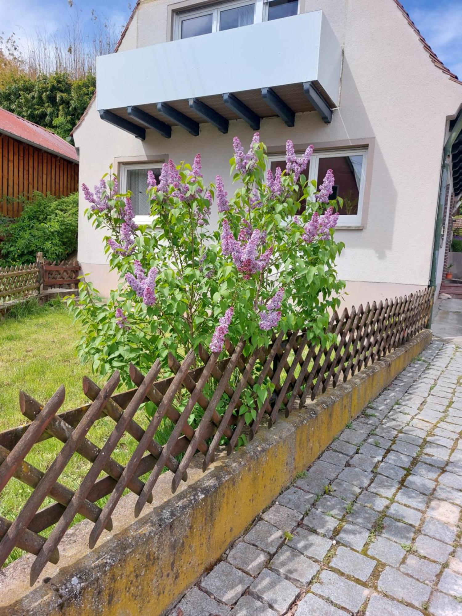 Sehr Beliebt! Ferienhaus Zur Donau Herbertingen Eksteriør bilde